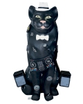 03-2020-wendy-chana-cotter-dj-cat-2