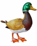 1_2020-christie-hicks-sherry-true-greeneville-duck-1