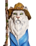 36-2020-don-boutin-cat-van-winkle-the-third-5