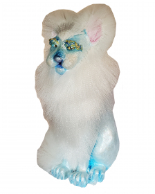 2021-22-marjorie-yonker-kaniehtiio-snow-3