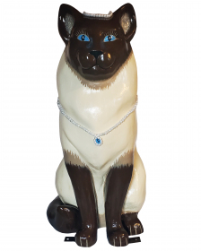 2021-41-eleanor-rowe-gentilini-sammy-the-siamese-2
