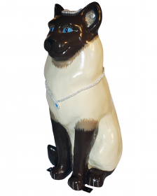 2021-41-eleanor-rowe-gentilini-sammy-the-siamese-3