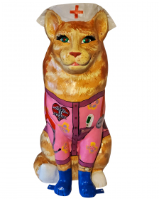2021-50-barbara-mcgeachen-nurse-cat-2