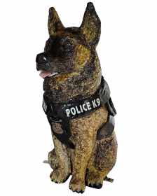 2022-12-jesse-bidwell-officer-shepard-3