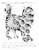 2023-design-carol-serazio-black-cat-white-lace