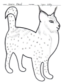 2023-design-cherie-bland-lynx-kitty