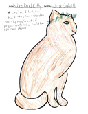 2023-design-jesse-bidwell-woodland-kitty-1