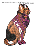 2023-design-lisa-di-pietro-nauti-kitty