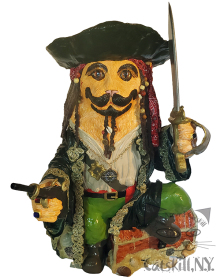 2024-53-michele-sisak-captain-cat-sparrow-2-watermarked