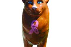 2026-02-kim-linden-purr-for-a-cure-3