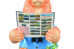 2026-45-michele-sisak-ofs-cat-mapping-2